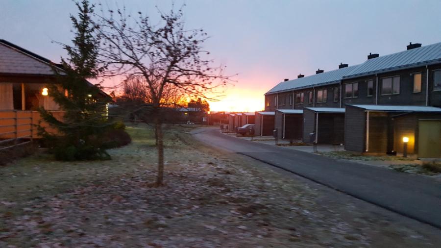 Hus 196