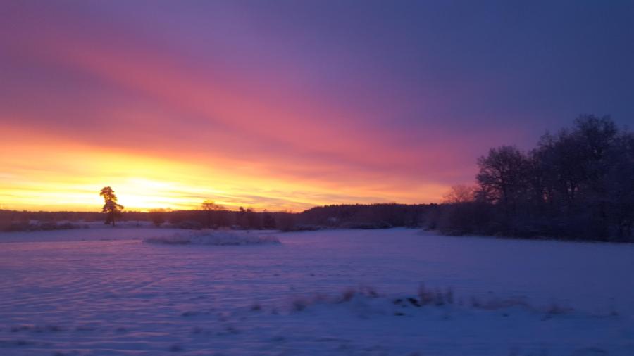 Invid Hågahögen
