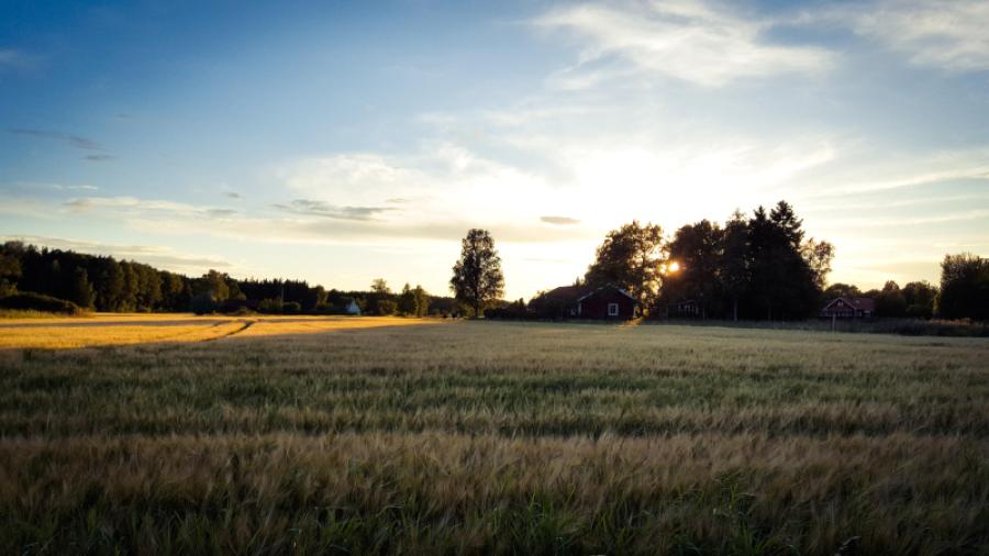 Vy från Hällen